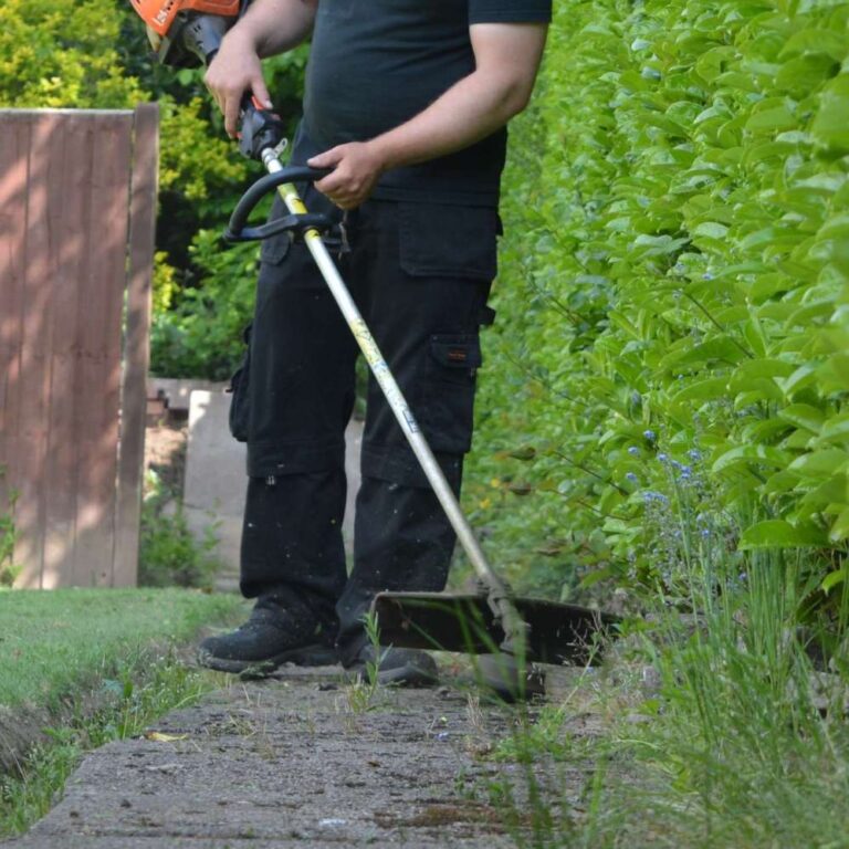 Strimmer Repair
