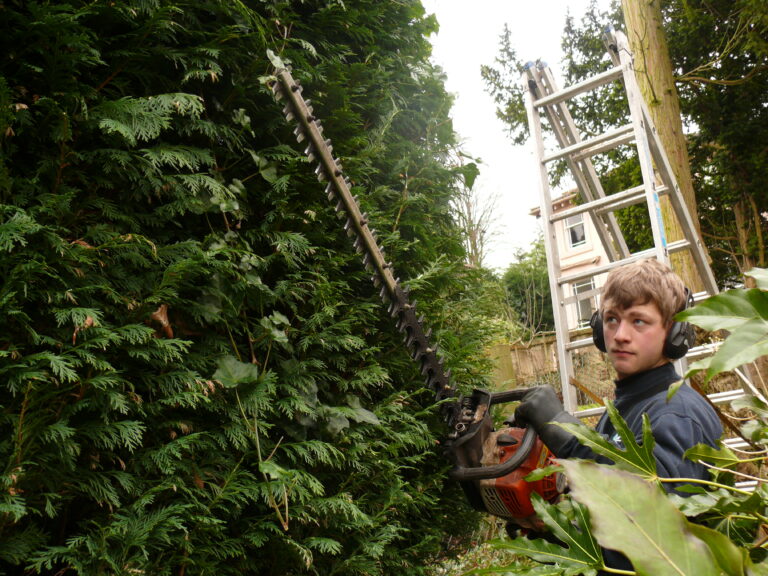 Hedge cutter service Trentham