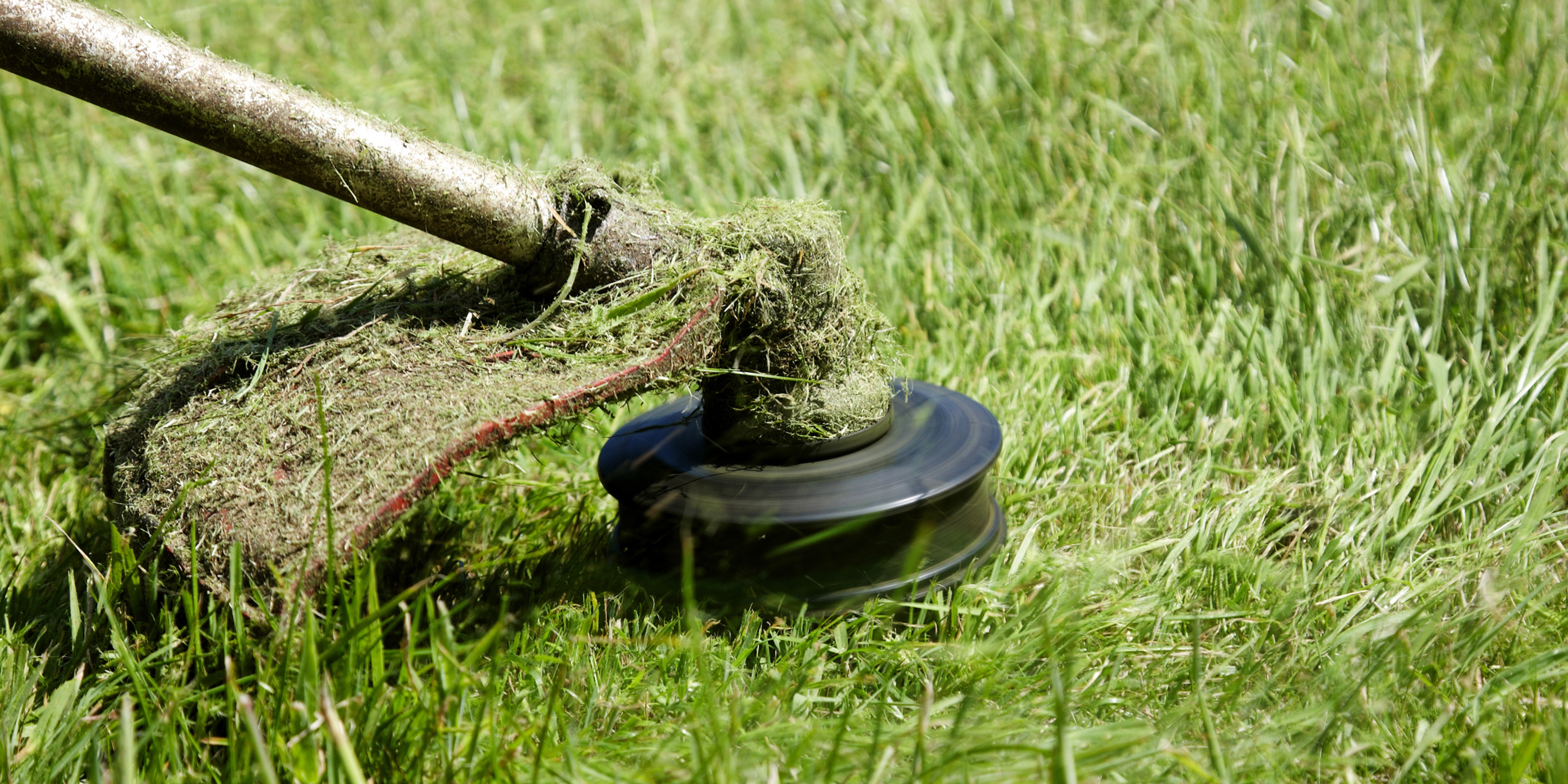 Why Should You Service Your Strimmer?